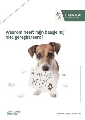 Affiche "Hondenregistratie"