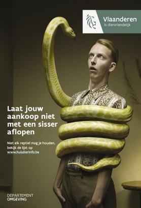 Afbeelding van een affiche met de tekst 'Niet elk reptiel mag je houden. Bekijk de lijst op www.huisdierinfo.be'